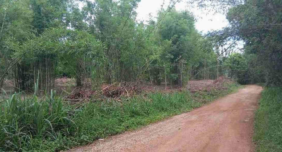 ขาย ที่ดิน ใน สันทราย, เชียงใหม่
