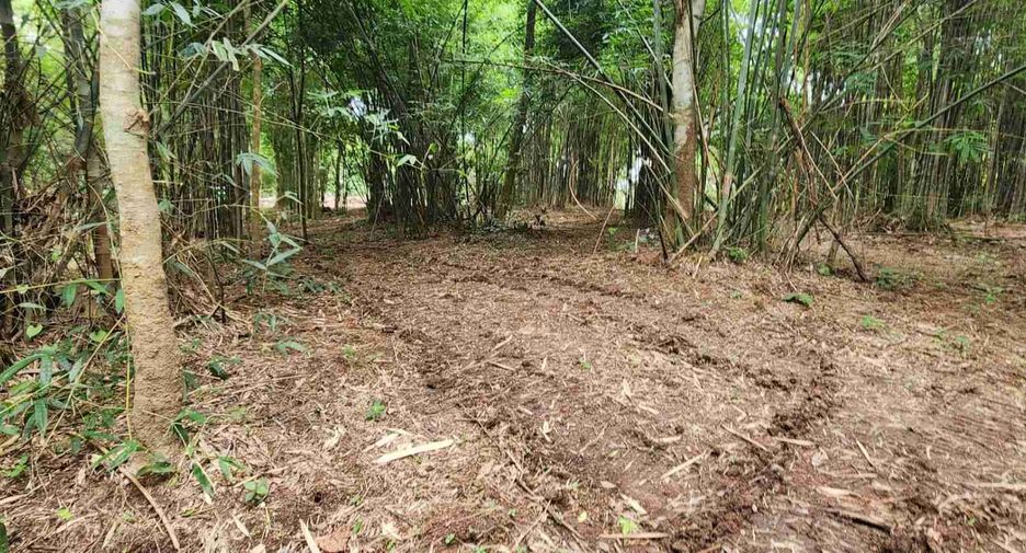 ขาย ที่ดิน ใน สันทราย, เชียงใหม่