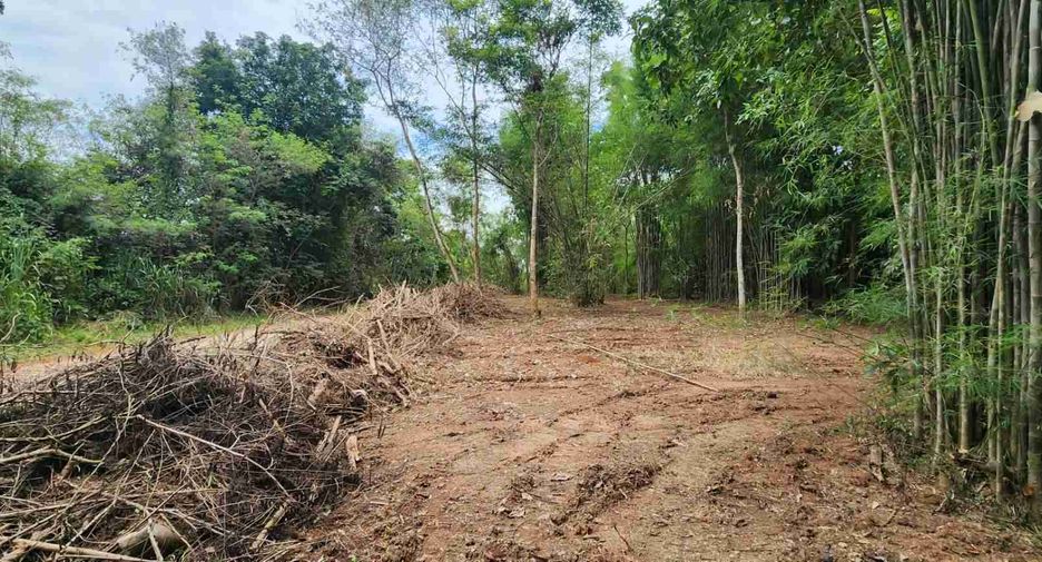 ขาย ที่ดิน ใน สันทราย, เชียงใหม่