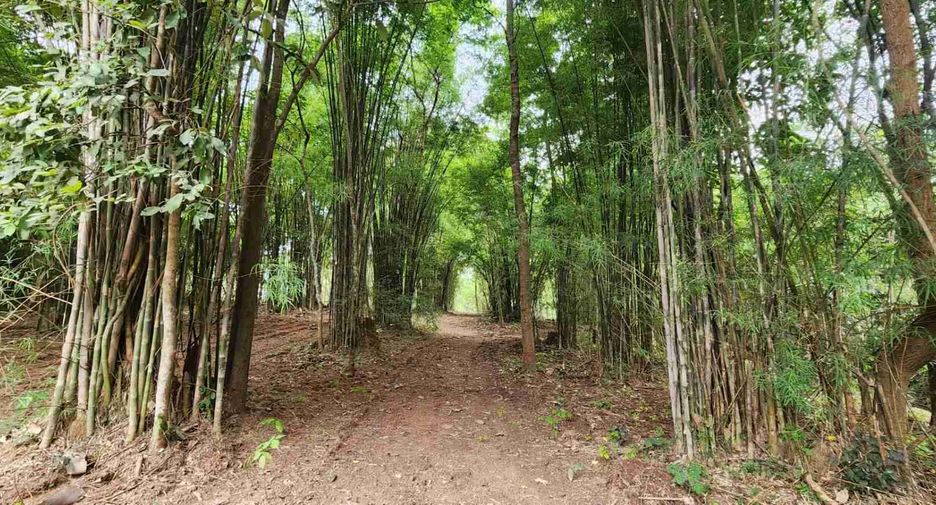 ขาย ที่ดิน ใน สันทราย, เชียงใหม่
