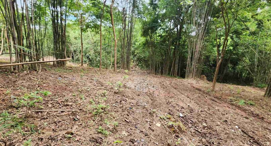 ขาย ที่ดิน ใน สันทราย, เชียงใหม่