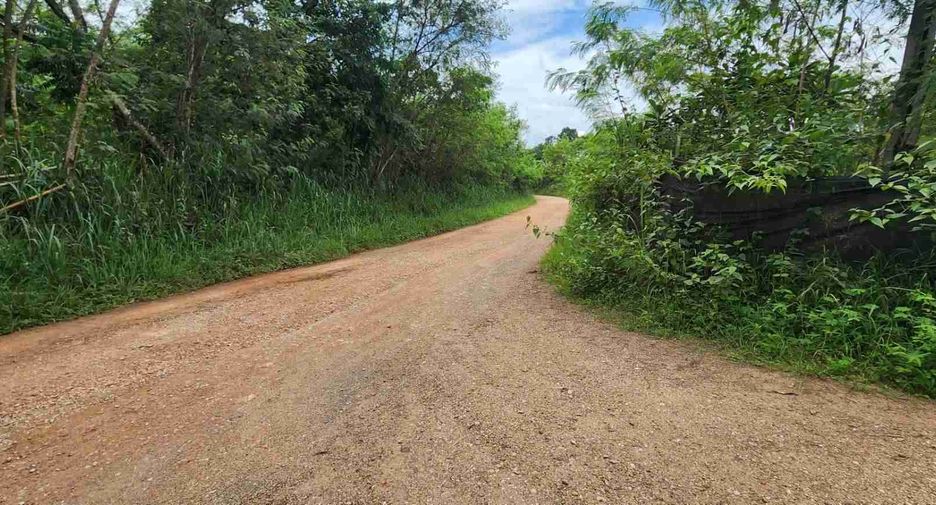 ขาย ที่ดิน ใน สันทราย, เชียงใหม่