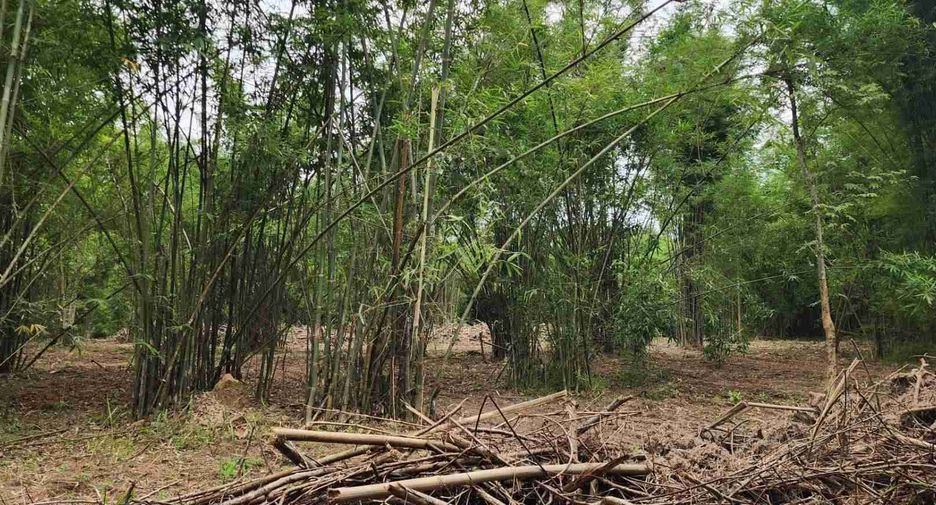 ขาย ที่ดิน ใน สันทราย, เชียงใหม่