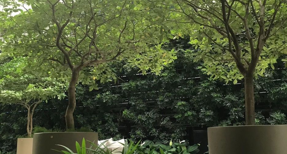 For rent 1 bed condo in Pathum Wan, Bangkok