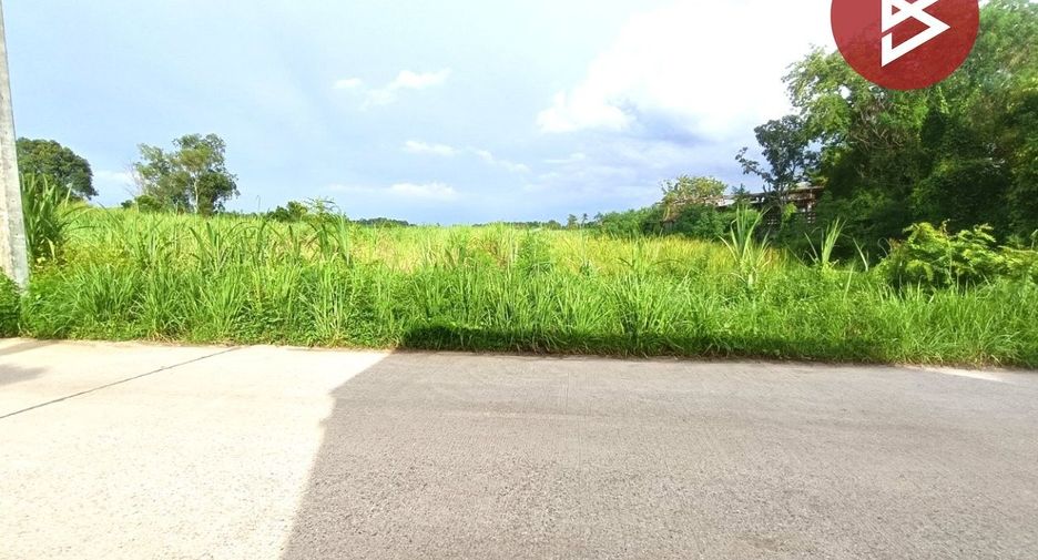 ขาย ที่ดิน ใน บ้านบึง, ชลบุรี