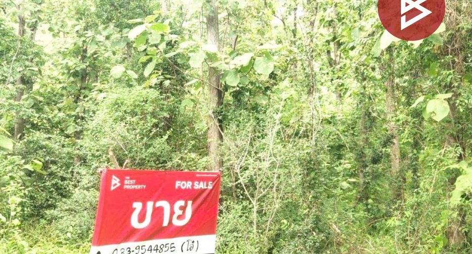 ขาย ที่ดิน ใน ตาคลี, นครสวรรค์