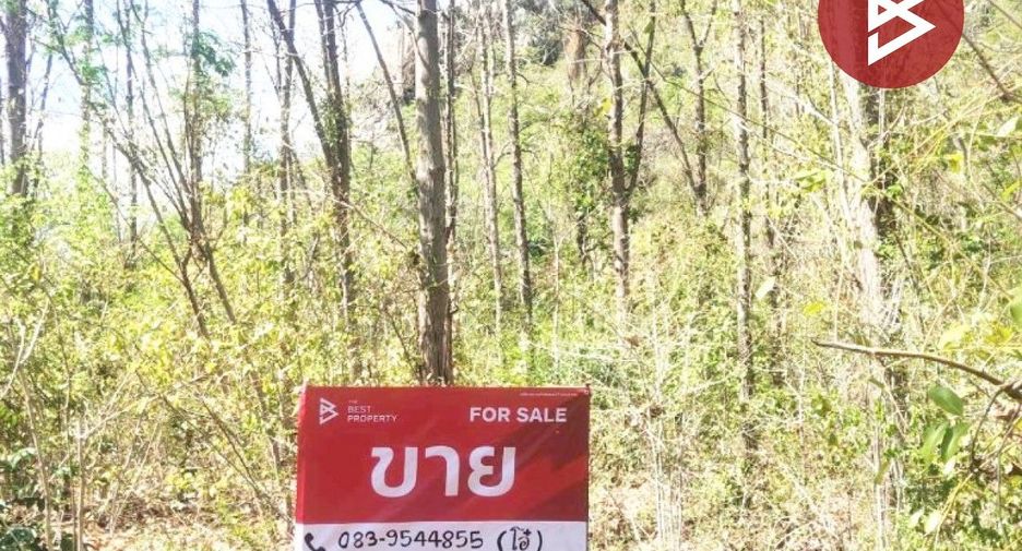 ขาย ที่ดิน ใน ตาคลี, นครสวรรค์