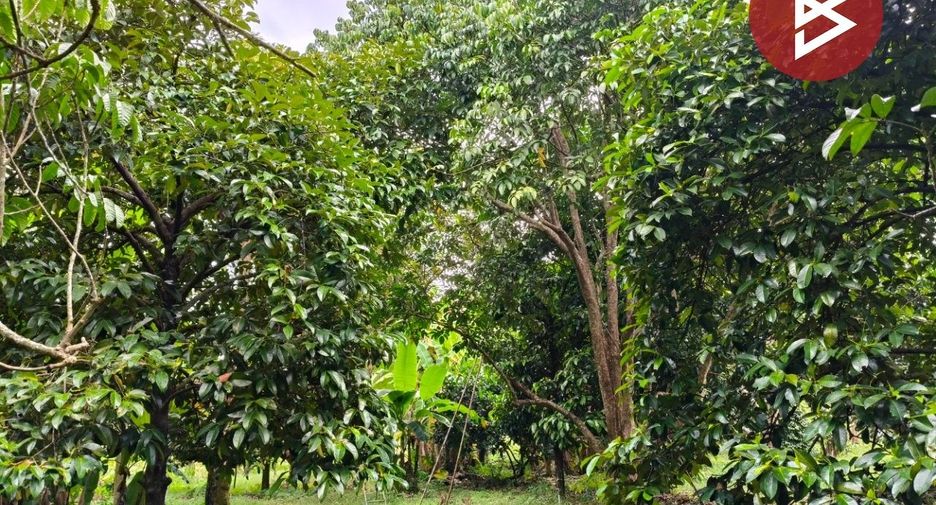 ขาย ที่ดิน ใน แกลง, ระยอง