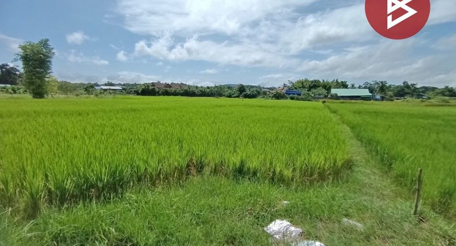 Продажа Участок в Muang Nan, Nan