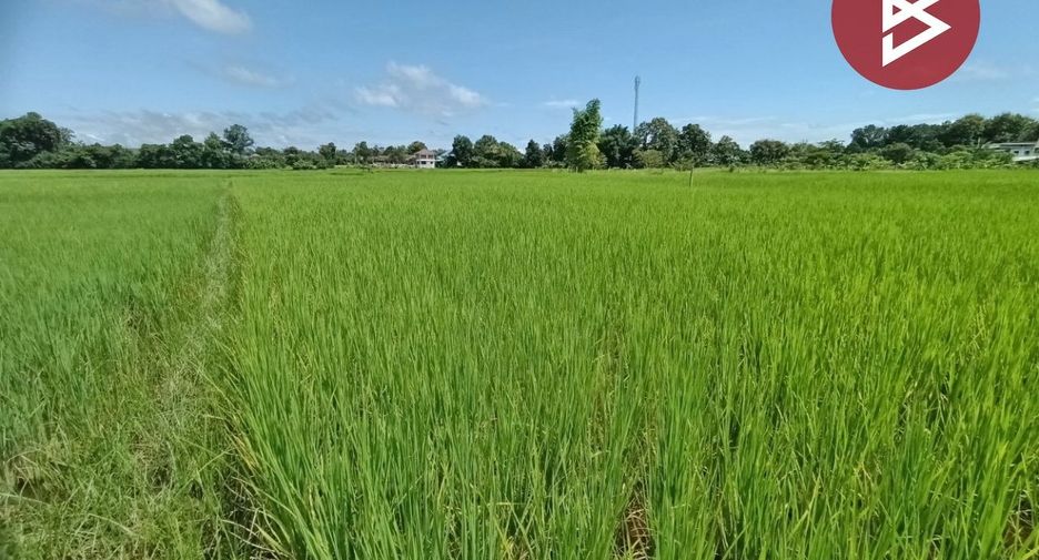 Продажа Участок в Muang Nan, Nan