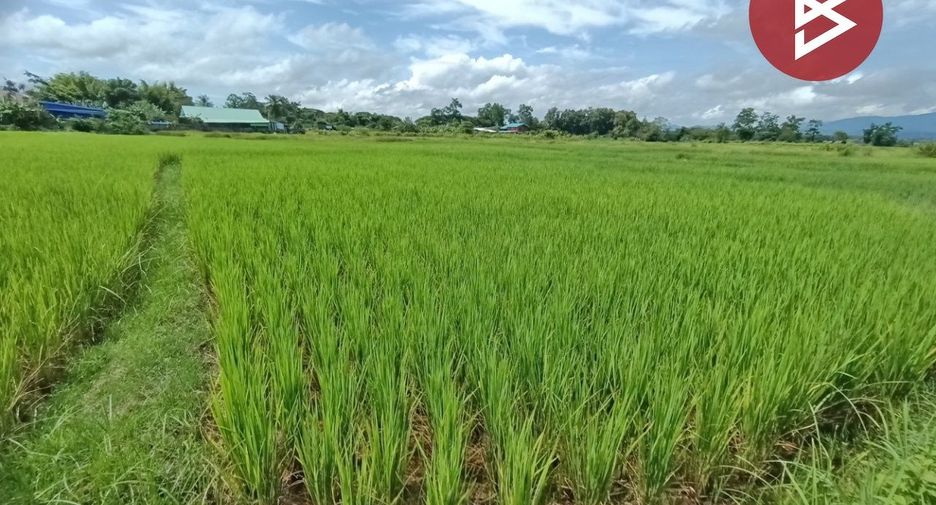 Продажа Участок в Muang Nan, Nan