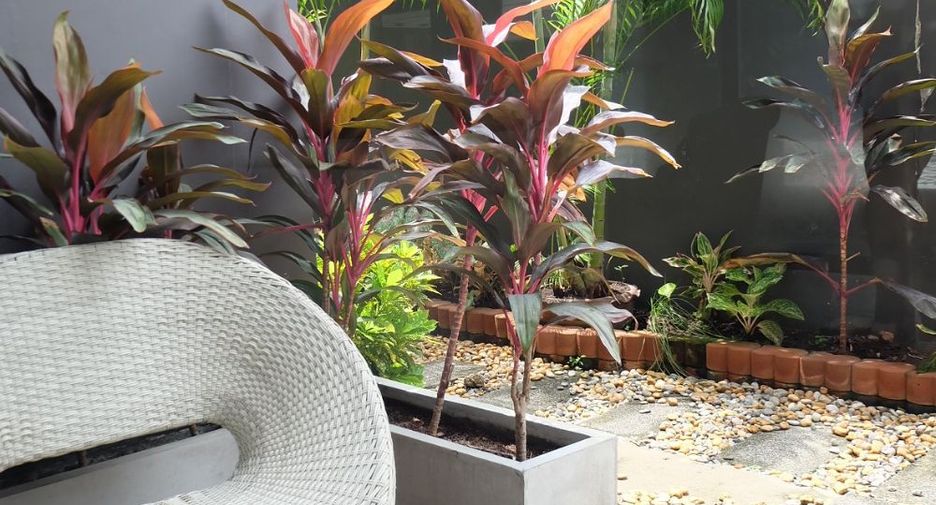 For sale 5 bedrooms house in Prawet, Bangkok