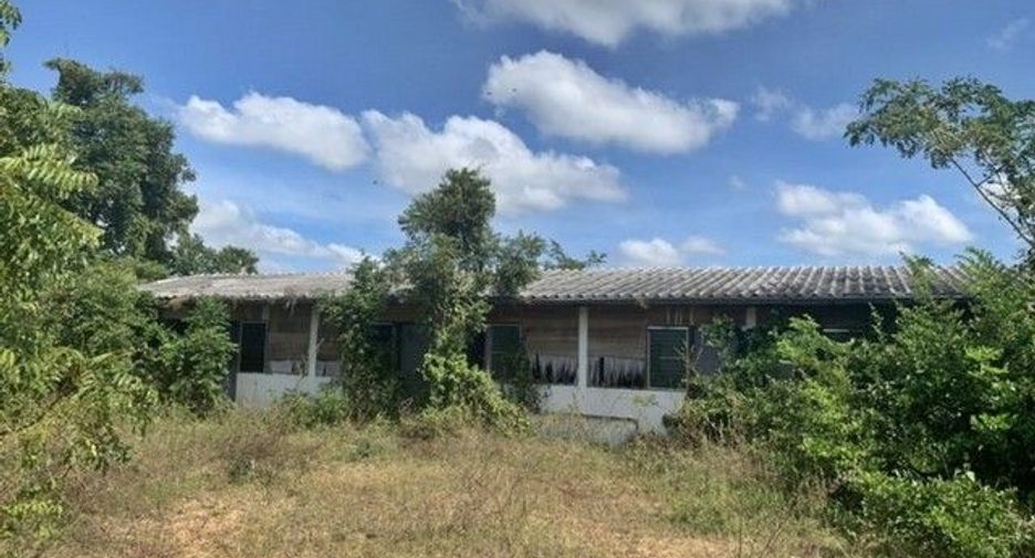 For sale 1 bed warehouse in Hankha, Chainat