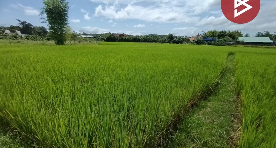 Продажа Участок в Muang Nan, Nan