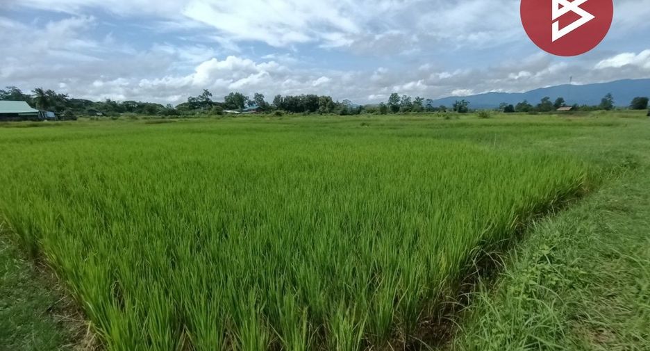 Продажа Участок в Muang Nan, Nan