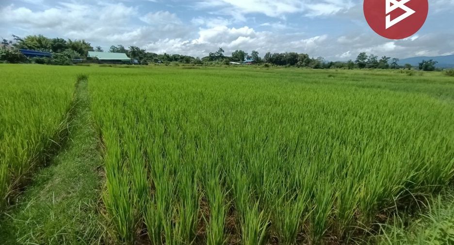 Продажа Участок в Muang Nan, Nan