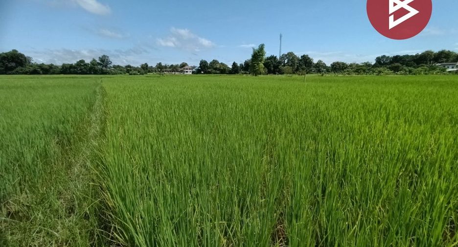 Продажа Участок в Muang Nan, Nan