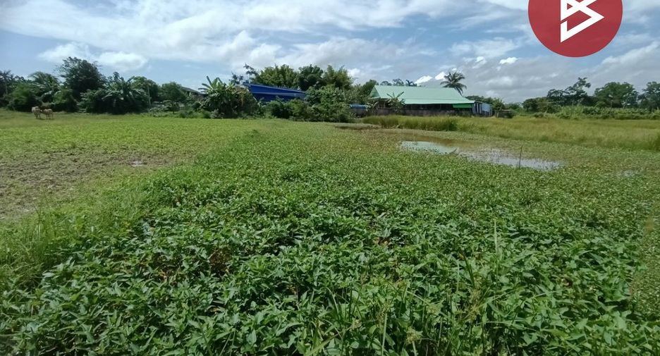 Продажа Участок в Muang Nan, Nan