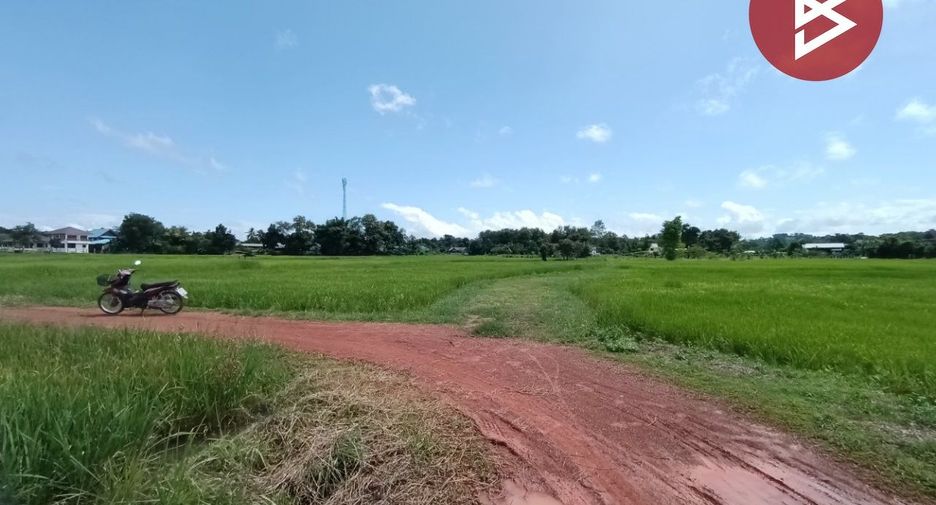 Продажа Участок в Muang Nan, Nan