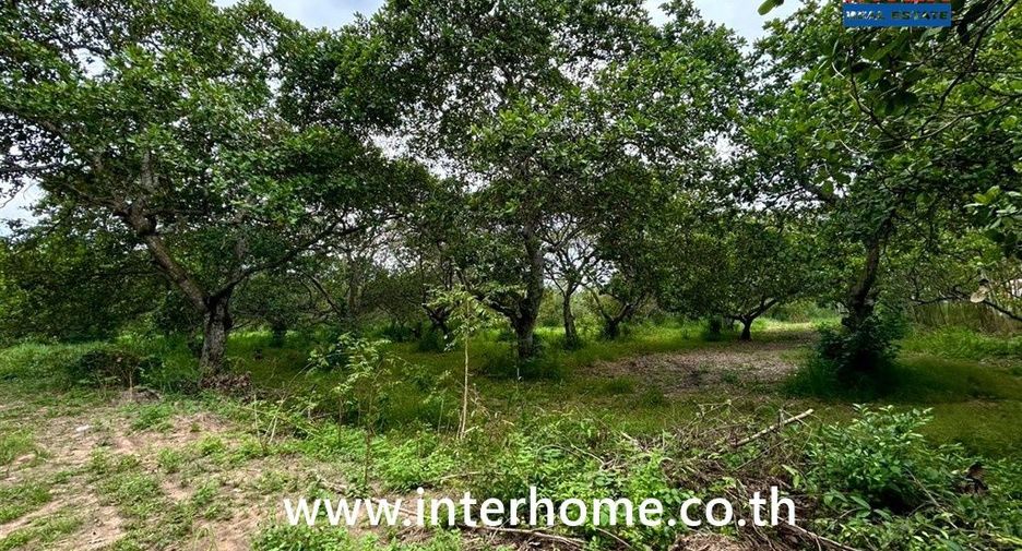 À vendre terrain à Ko Chan, Chonburi