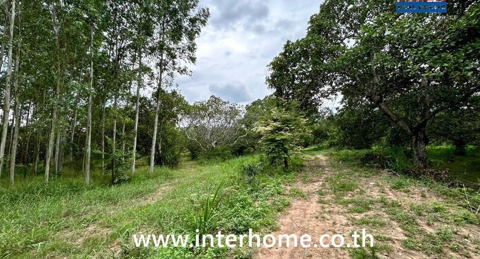À vendre terrain à Ko Chan, Chonburi