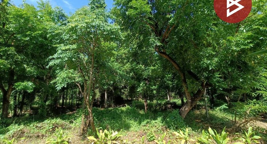 出售 土地 在 Ban Phaeo, Samut Sakhon