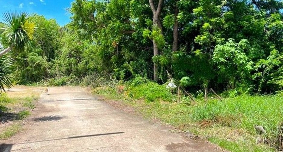 出售 土地 在 Khok Samrong, Lop Buri