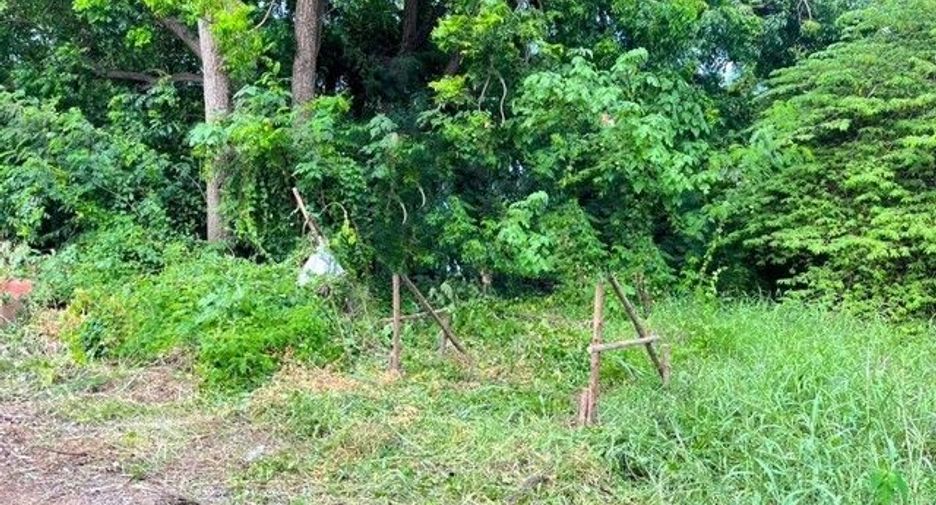 出售 土地 在 Khok Samrong, Lop Buri