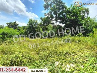 Продажа Участок в Bang Pa-in, Phra Nakhon Si Ayutthaya