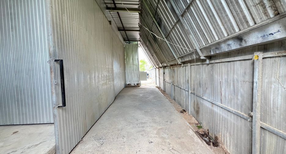 出租 仓库 在 San Sai, Chiang Mai