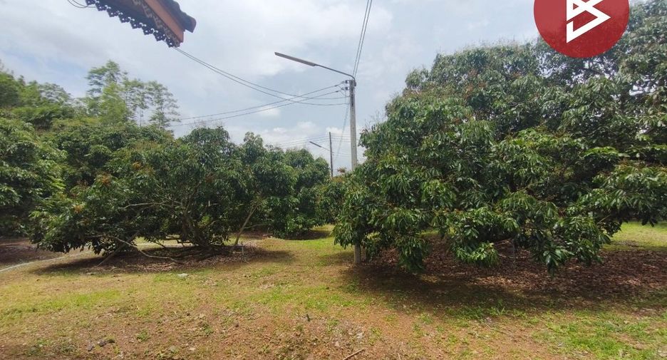 À vendre terrain à Soi Dao, Chanthaburi