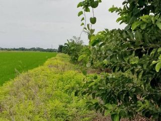 Grundstück zum Kauf in Sai Noi, Nonthaburi