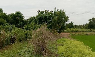 出售 土地 在 Sai Noi, Nonthaburi