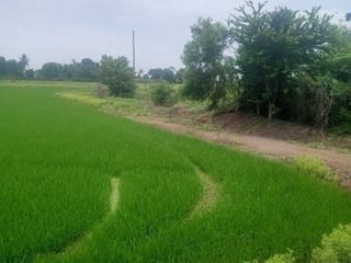 Grundstück zum Kauf in Sai Noi, Nonthaburi