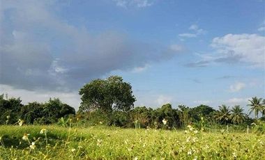 For sale land in Mueang Lamphun, Lamphun