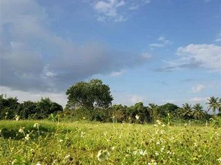 For sale land in Mueang Lamphun, Lamphun