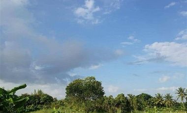 For sale land in Mueang Lamphun, Lamphun