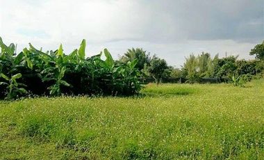For sale land in Mueang Lamphun, Lamphun