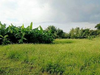 For sale land in Mueang Lamphun, Lamphun