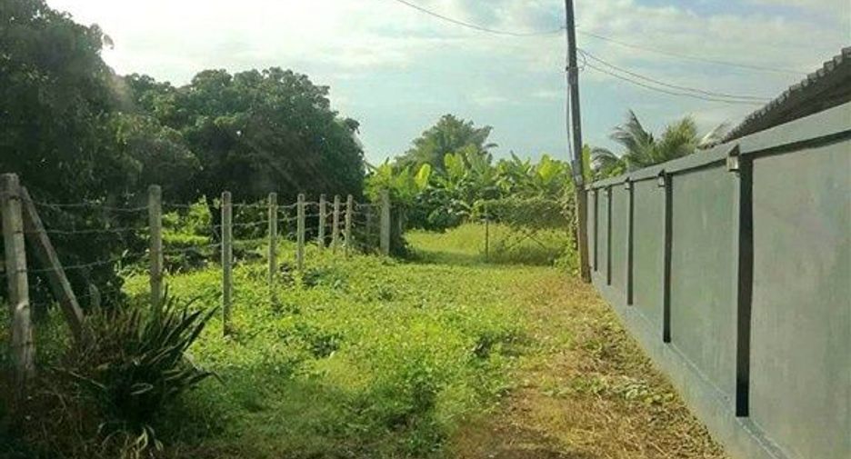 For sale land in Mueang Lamphun, Lamphun