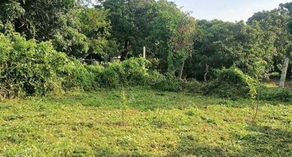 For sale land in Mueang Lamphun, Lamphun