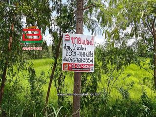 Продажа Участок в Pak Phli, Накхоннайок