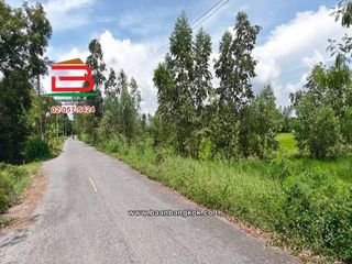 Продажа Участок в Pak Phli, Накхоннайок