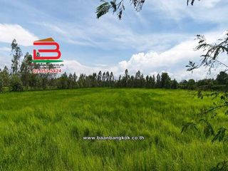 Продажа Участок в Pak Phli, Накхоннайок