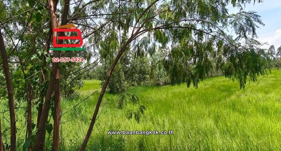Продажа Участок в Pak Phli, Накхоннайок