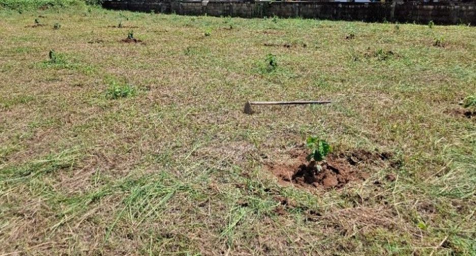 Terreno en venta en Thoeng, Chiang Rai