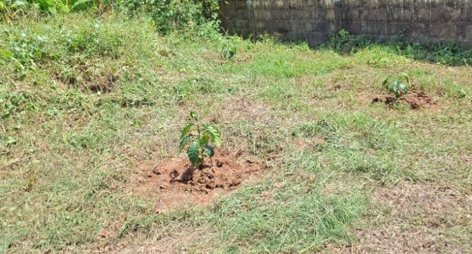 Terreno en venta en Thoeng, Chiang Rai