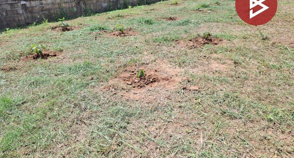 Terreno en venta en Thoeng, Chiang Rai