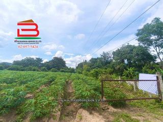 出售 土地 在 Pak Tho, Ratchaburi