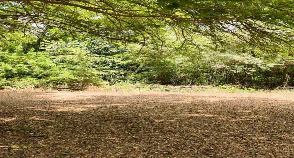 For sale land in Mueang Kanchanaburi, Kanchanaburi